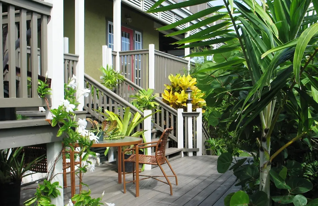 Villa Allamanda, Eleuthera-1